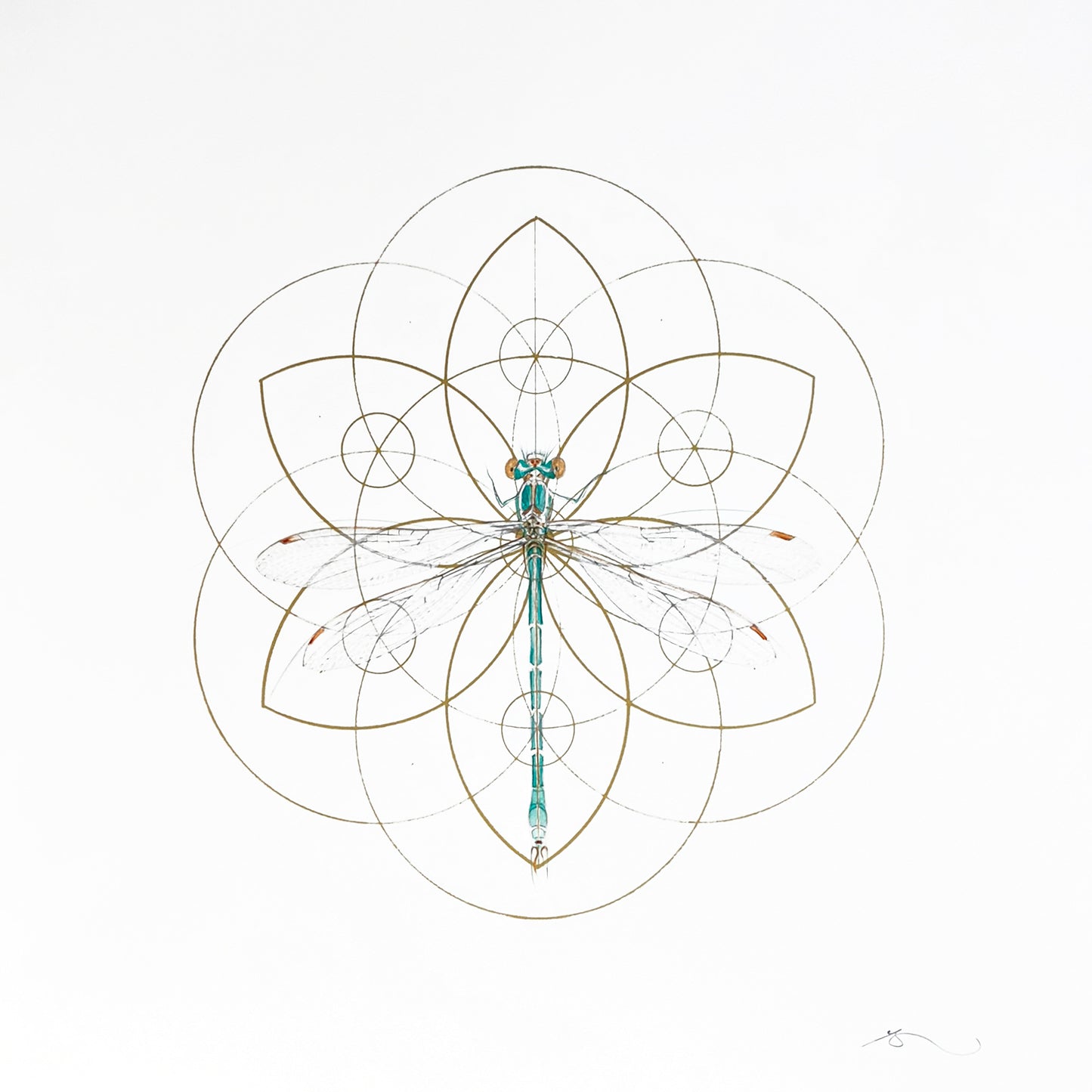Devotion 4