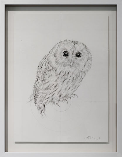 Jealous Owl 1