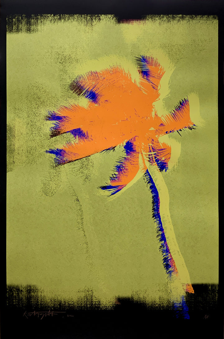 Desert Palm