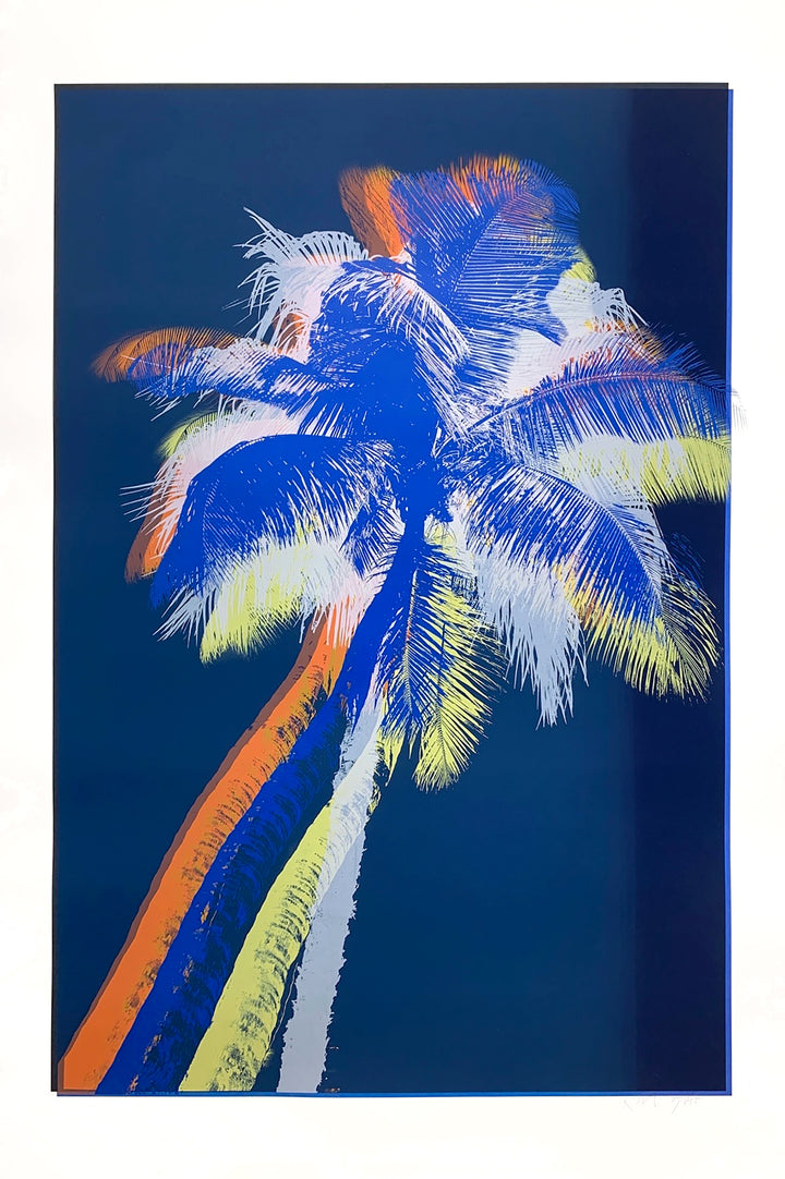 Midnight Palms