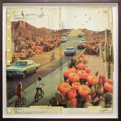 Desert Road - Framed