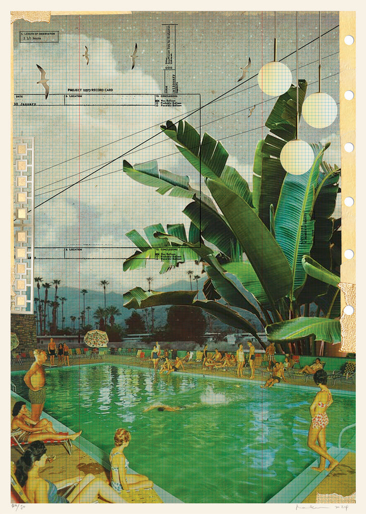 Underneath the Palms