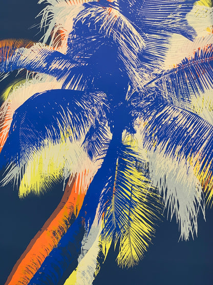 Midnight Palms