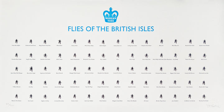 Flies of British Isles