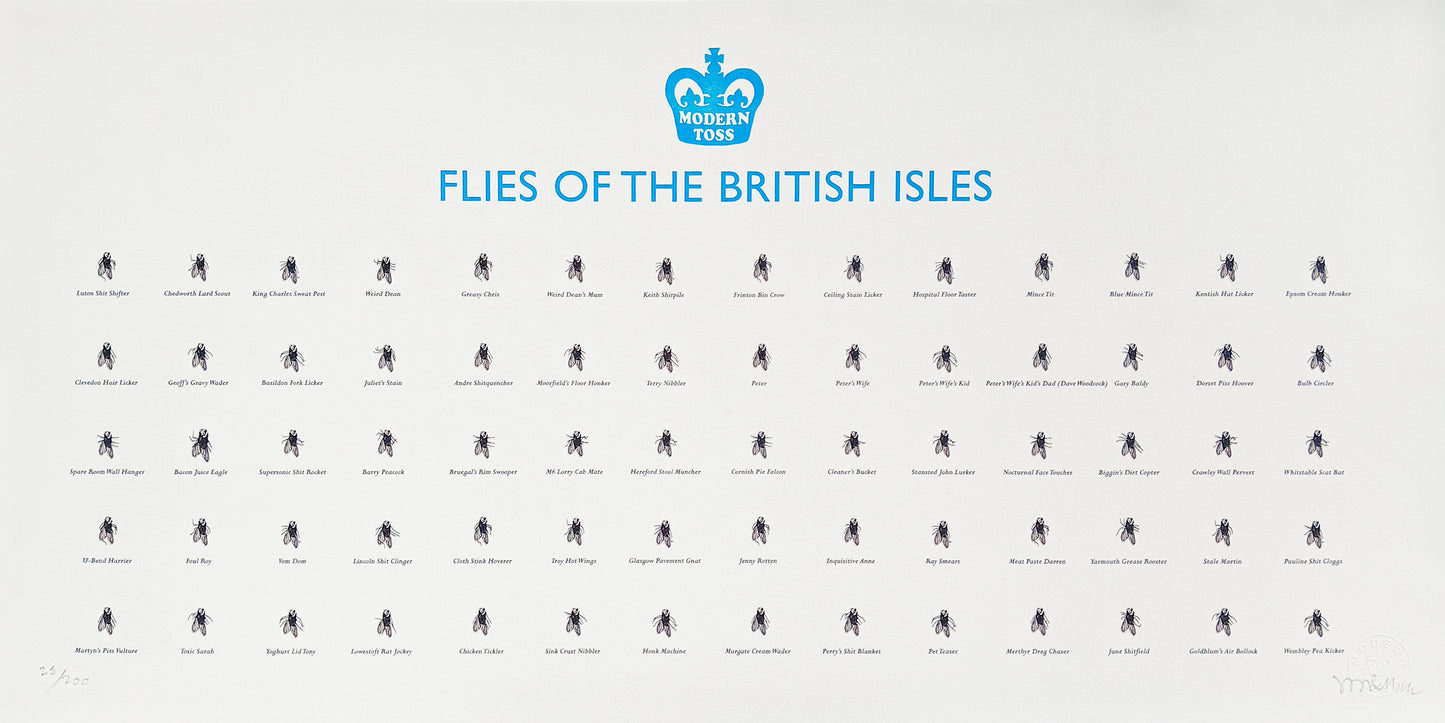 Flies of British Isles
