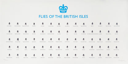 Flies of British Isles