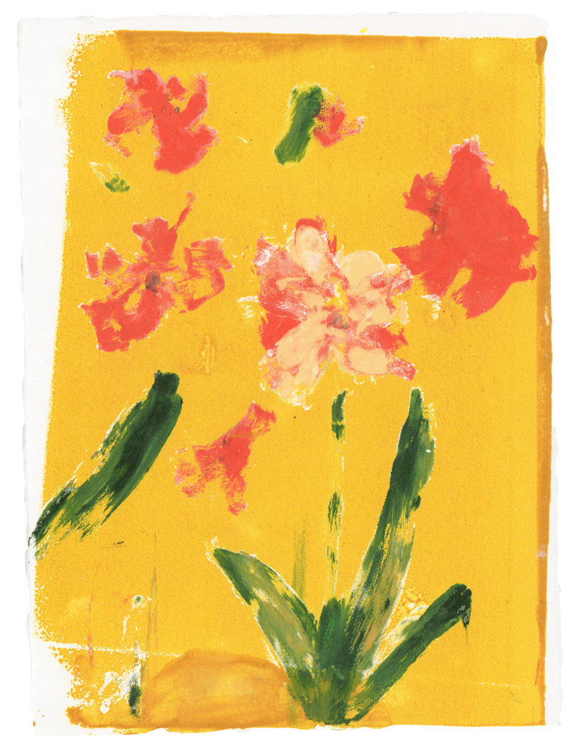 Pansy