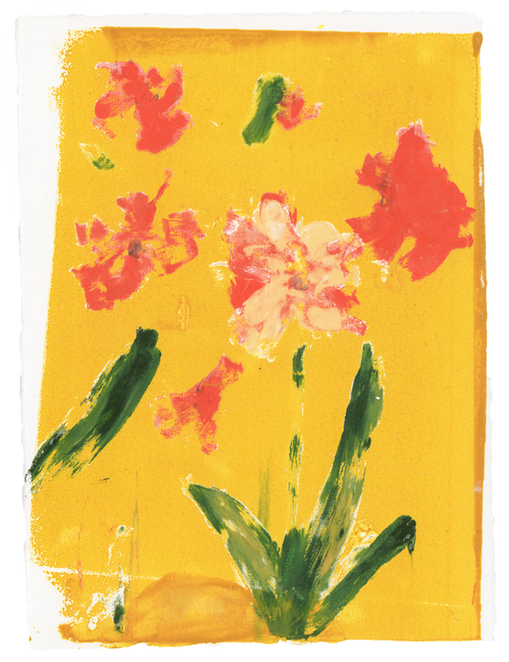 Pansy
