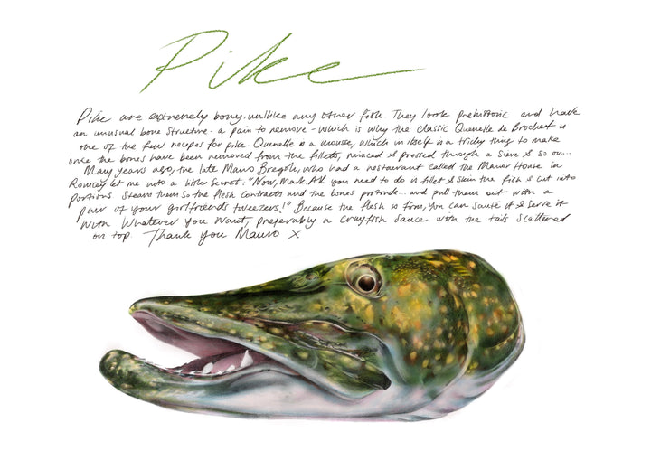 Pike