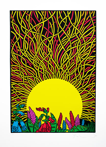 Sol