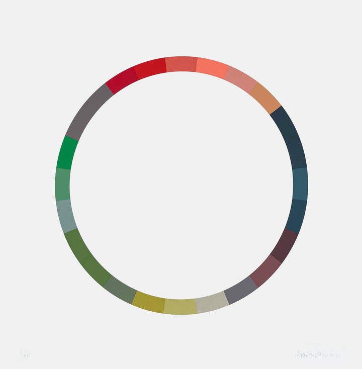 Colour Wheel 8