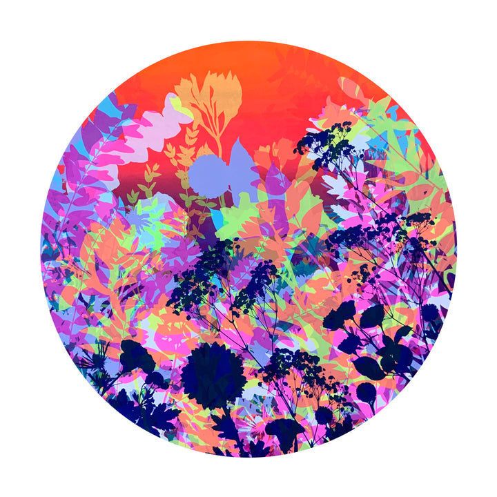 Sunset 01
