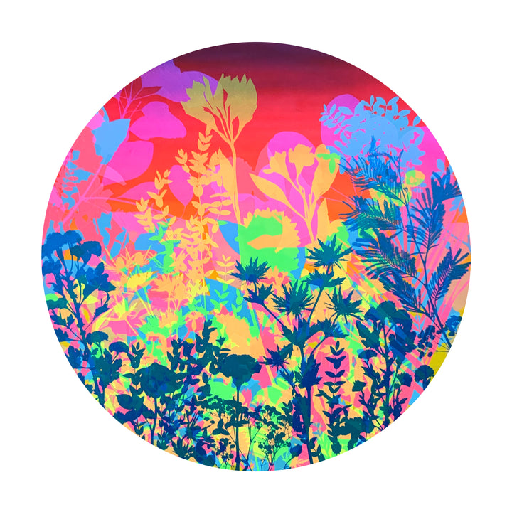 Sunset 05