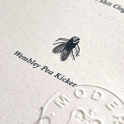 Flies of British Isles