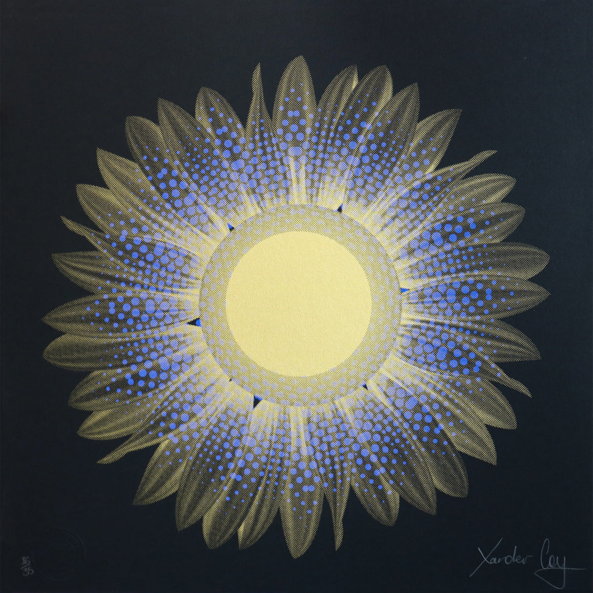 The Heat of the Sun