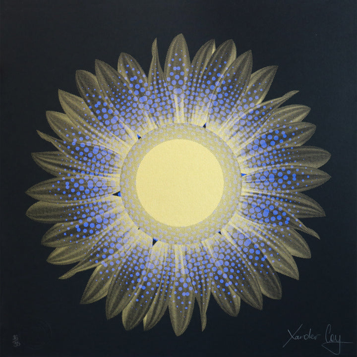The Heat of the Sun