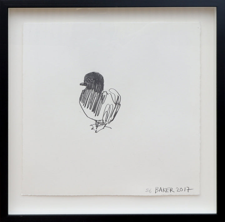 Duckling #56 Gino