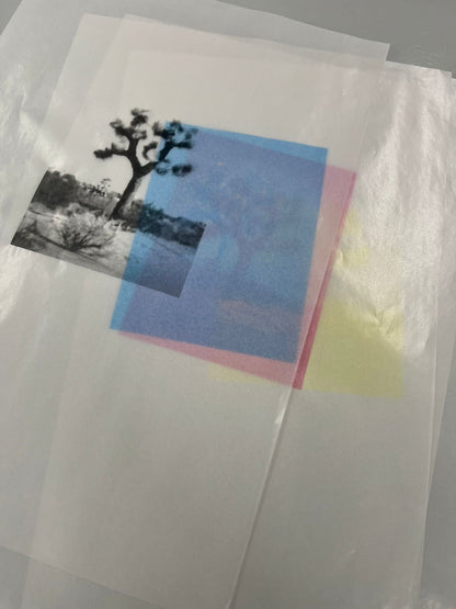 A Pale Blue Dot - Layered Glassine Edition