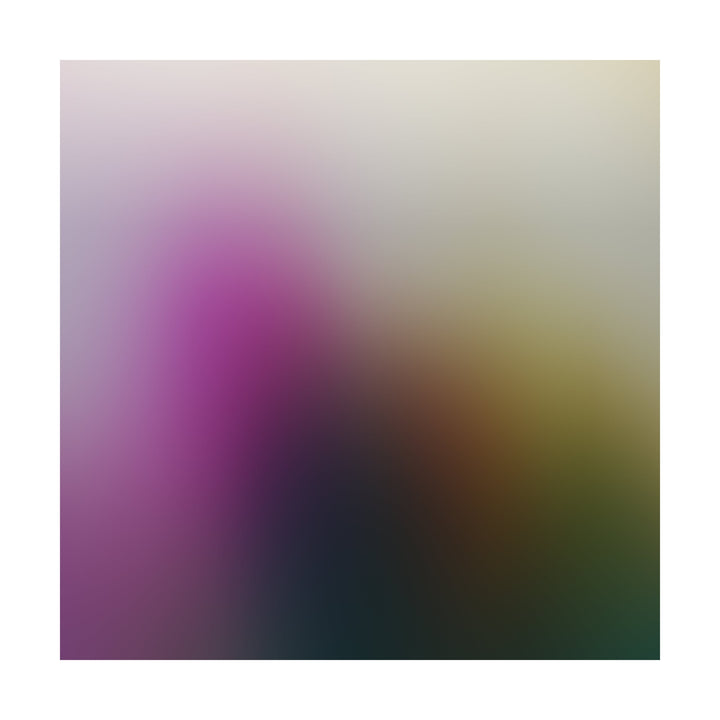 Elevation (Small)