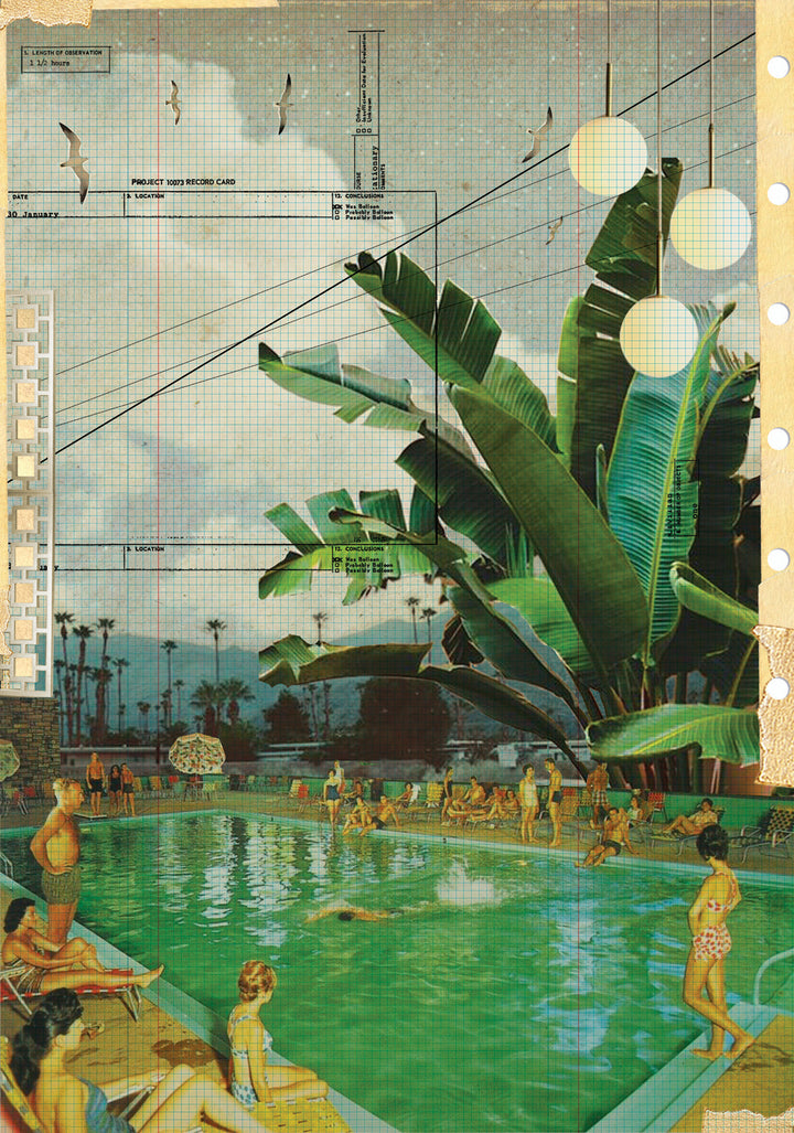 Underneath the Palms