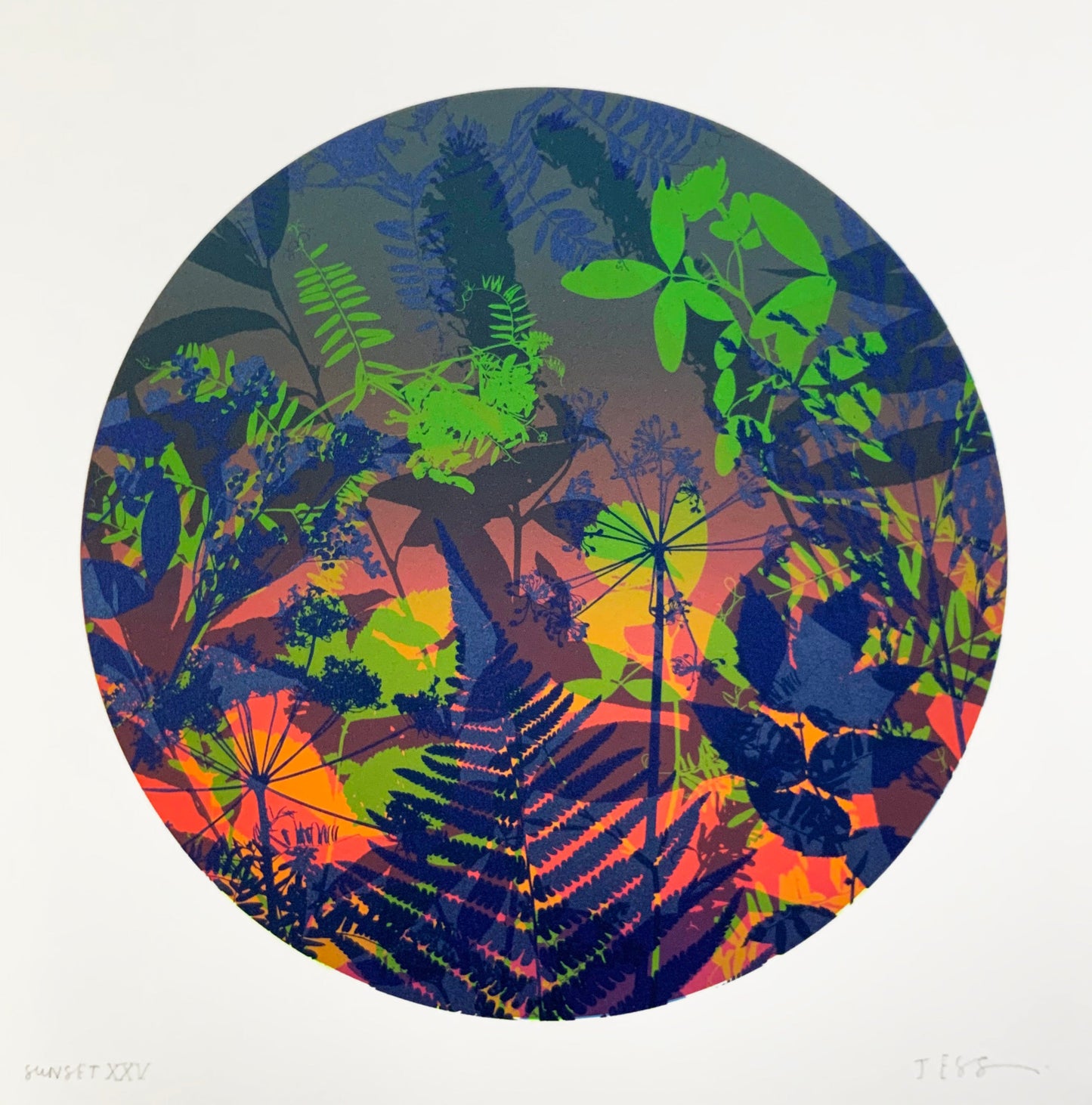 Sunset XXV