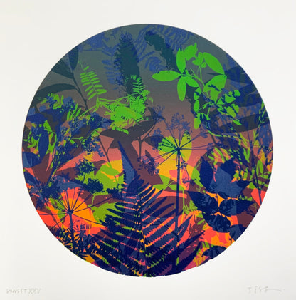 Sunset XXV