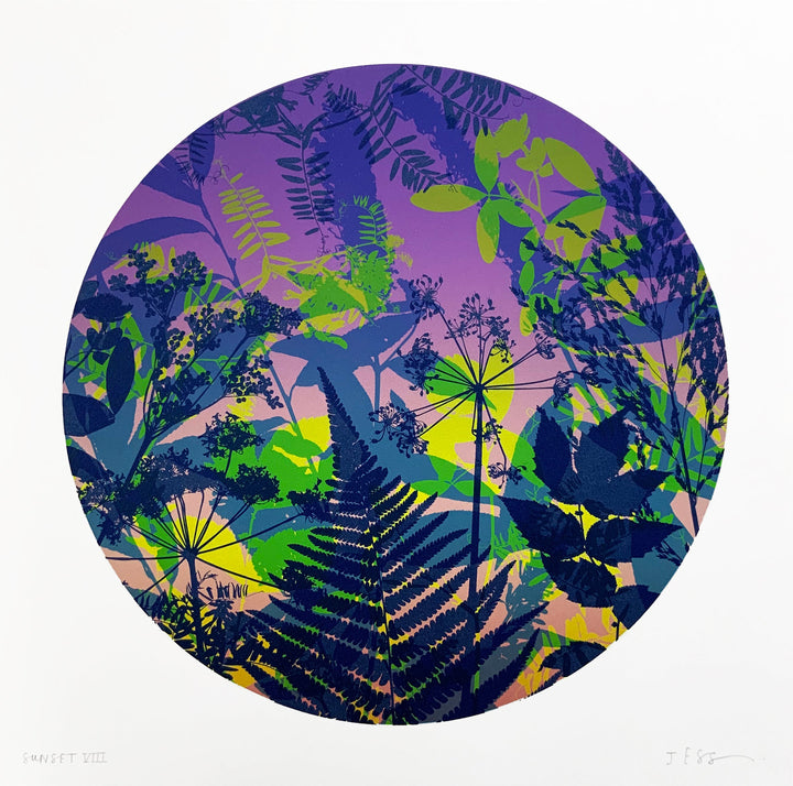 Sunset VIII