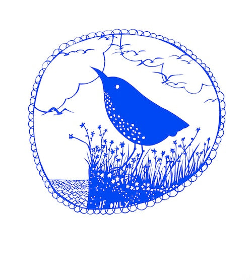 If Only (Stephen's Island Wren)