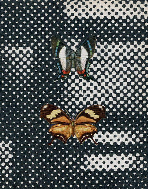 Protogonius