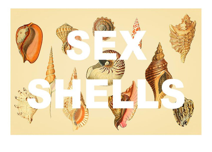 Sex Shells
