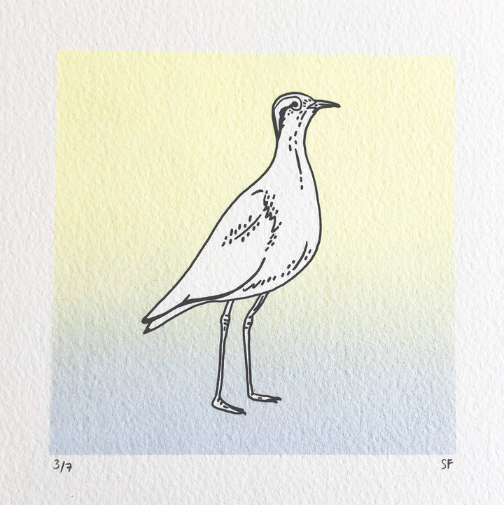 Bird 50 (Blue + Yellow)