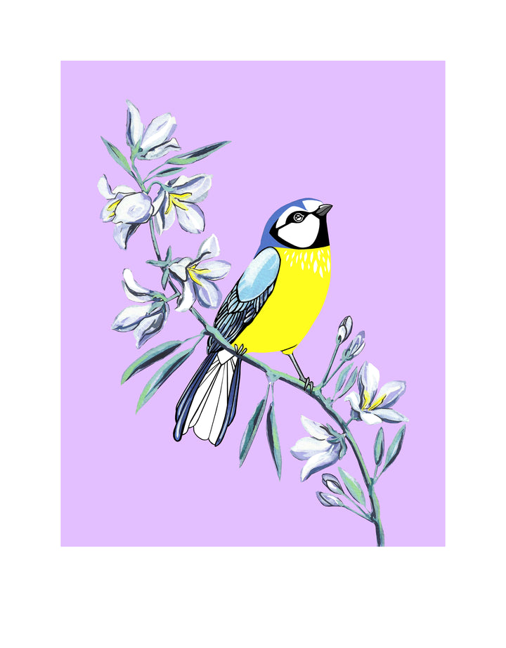 Blue Tit and Bellflower