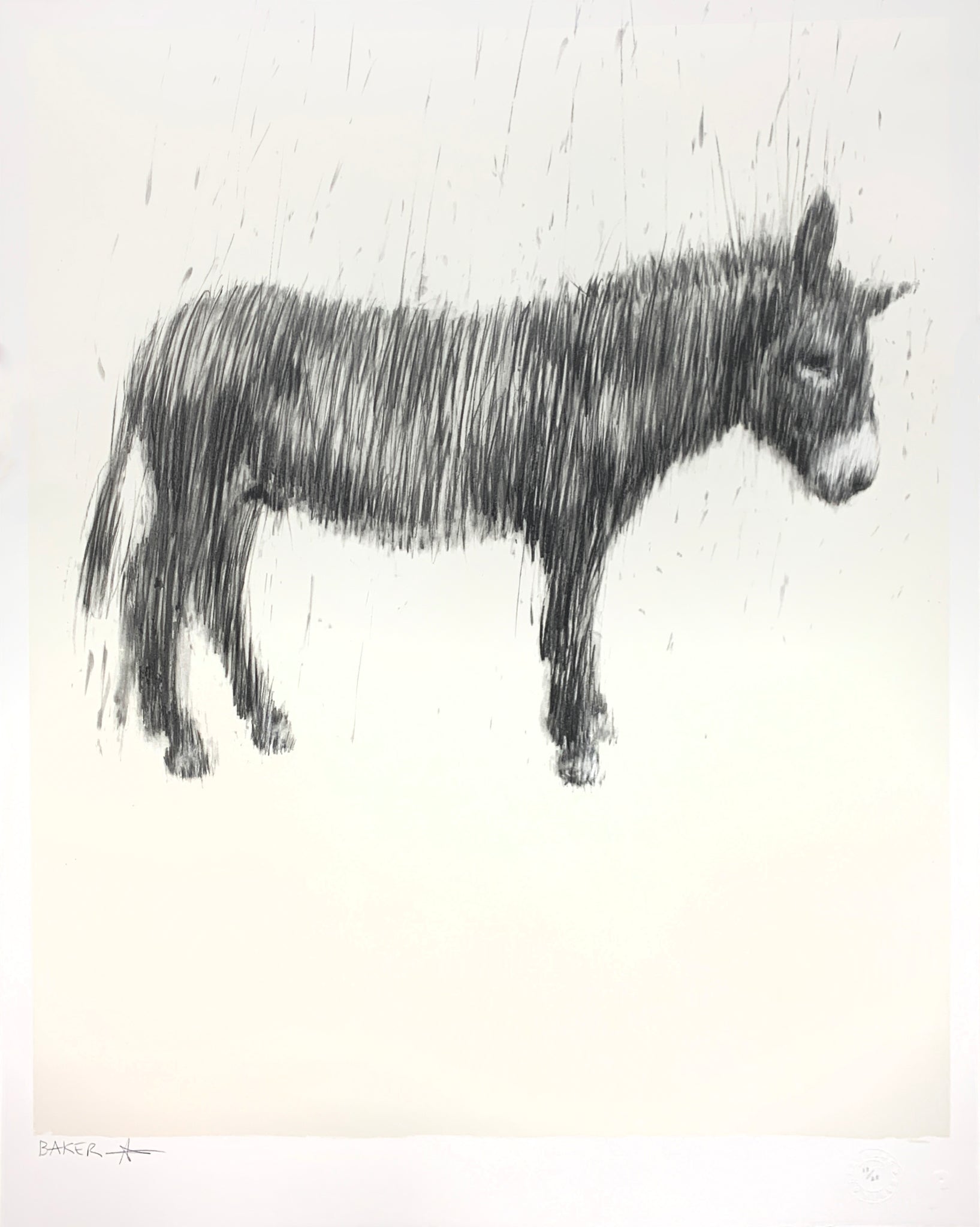Graphite Unicorn (Overlooking The Things We Have For The Things We Have Not)