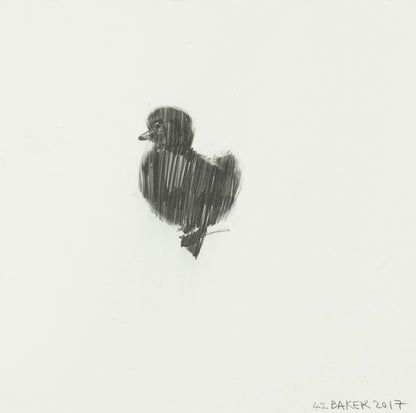 Duckling #42 Estefan