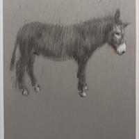 Graphite Unicorn (Proof on Grey Board)