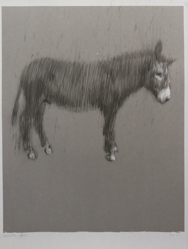 Graphite Unicorn (Proof on Grey Board)