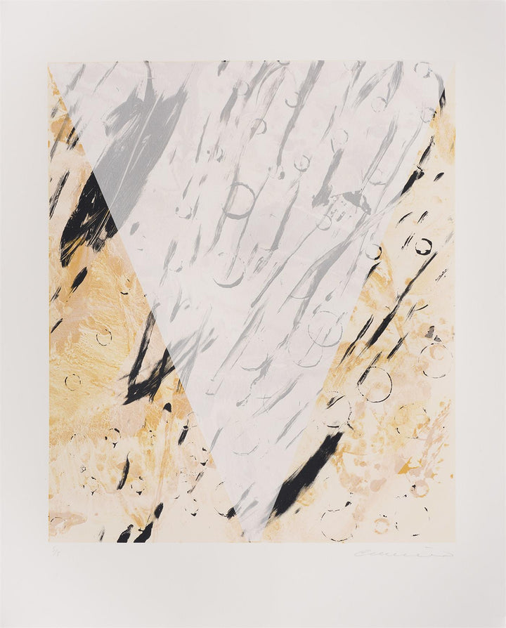 fragilityandresistance4