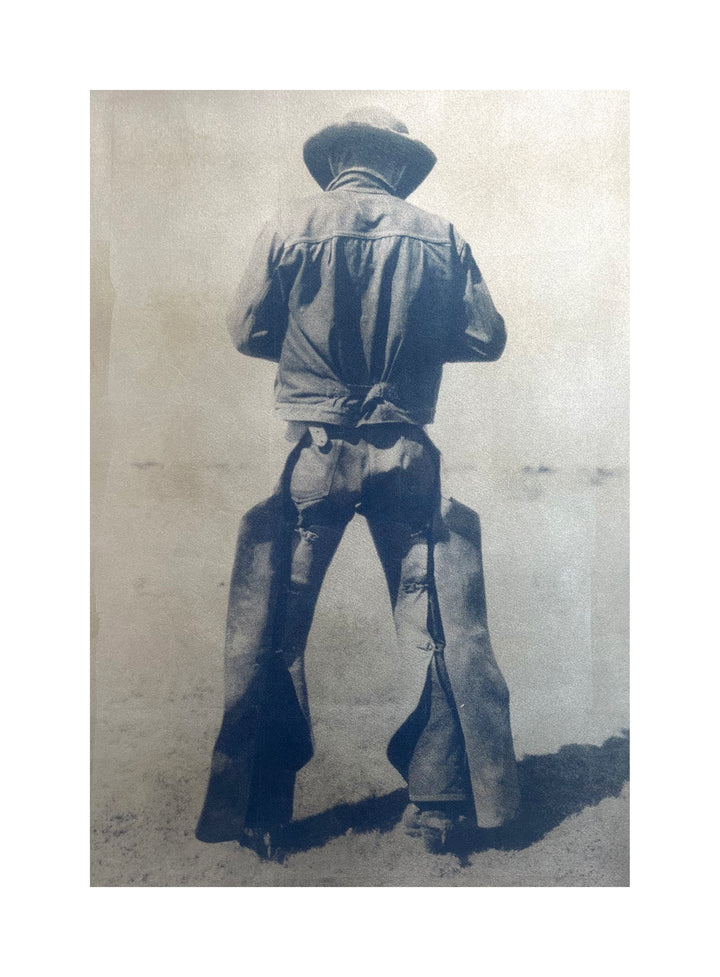 I Should Have Been A Cowboy