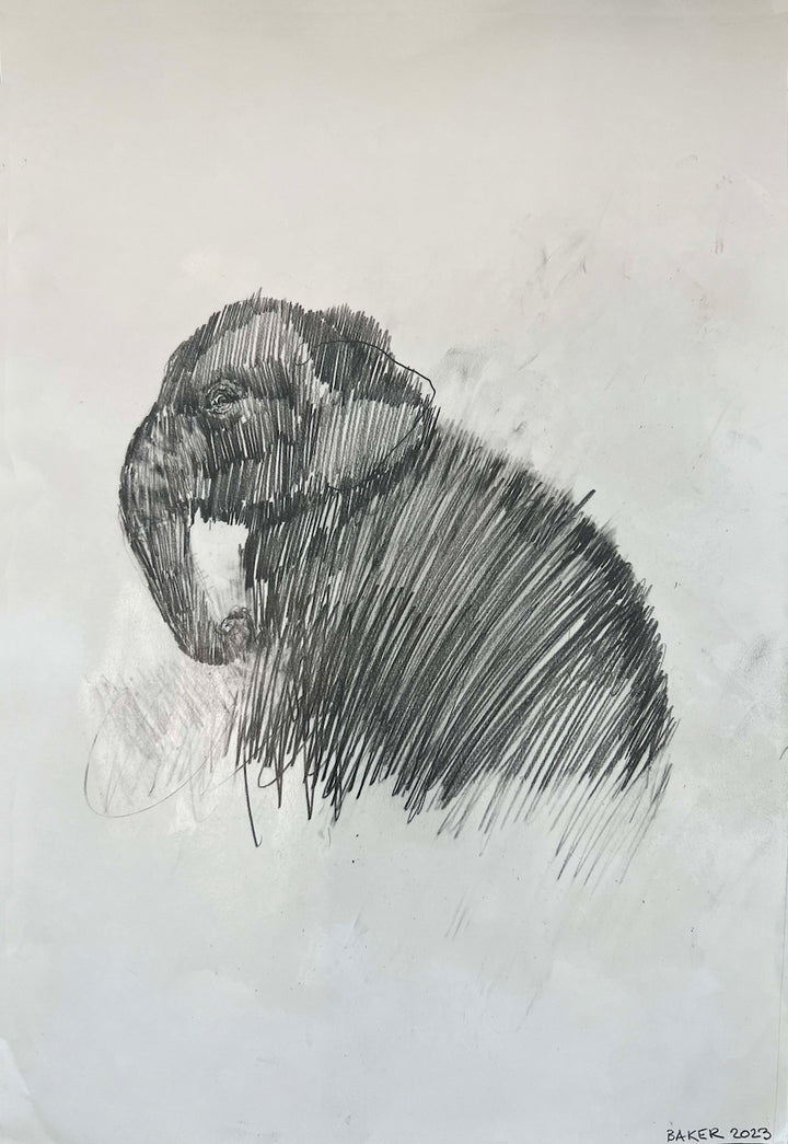Baker’s Dozen - Mammoth Lies 10