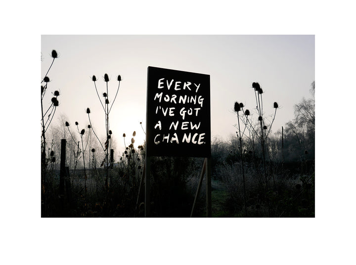 Every Morning I've Got a New Chance II