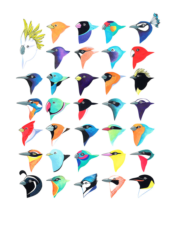 Thirty-Four Birds
