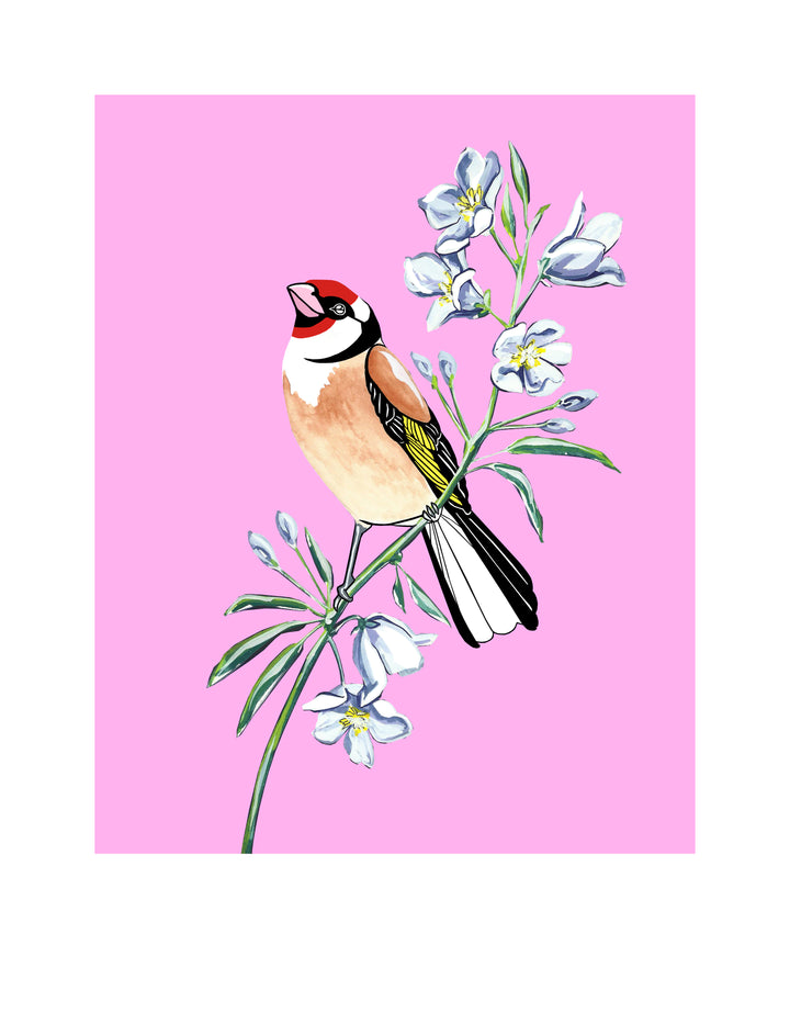 Goldfinch and Bellflower