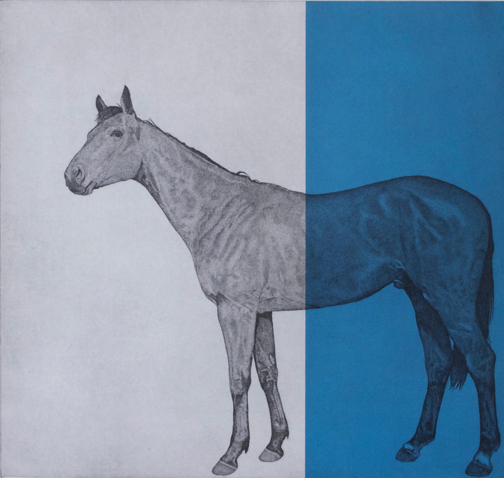 Horse Study Blue