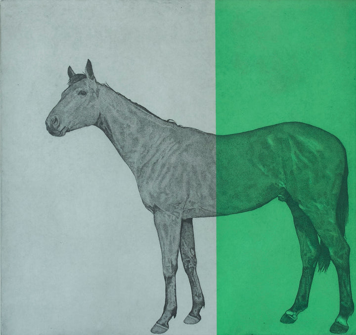 Horse Study Green