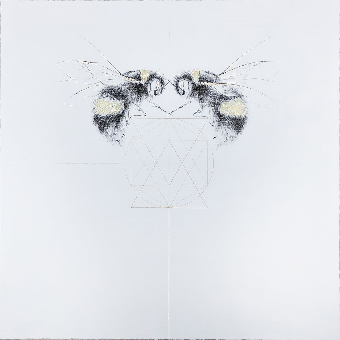 Love Bees