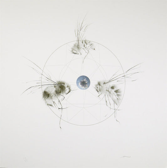 Air - The Four Elements for Change