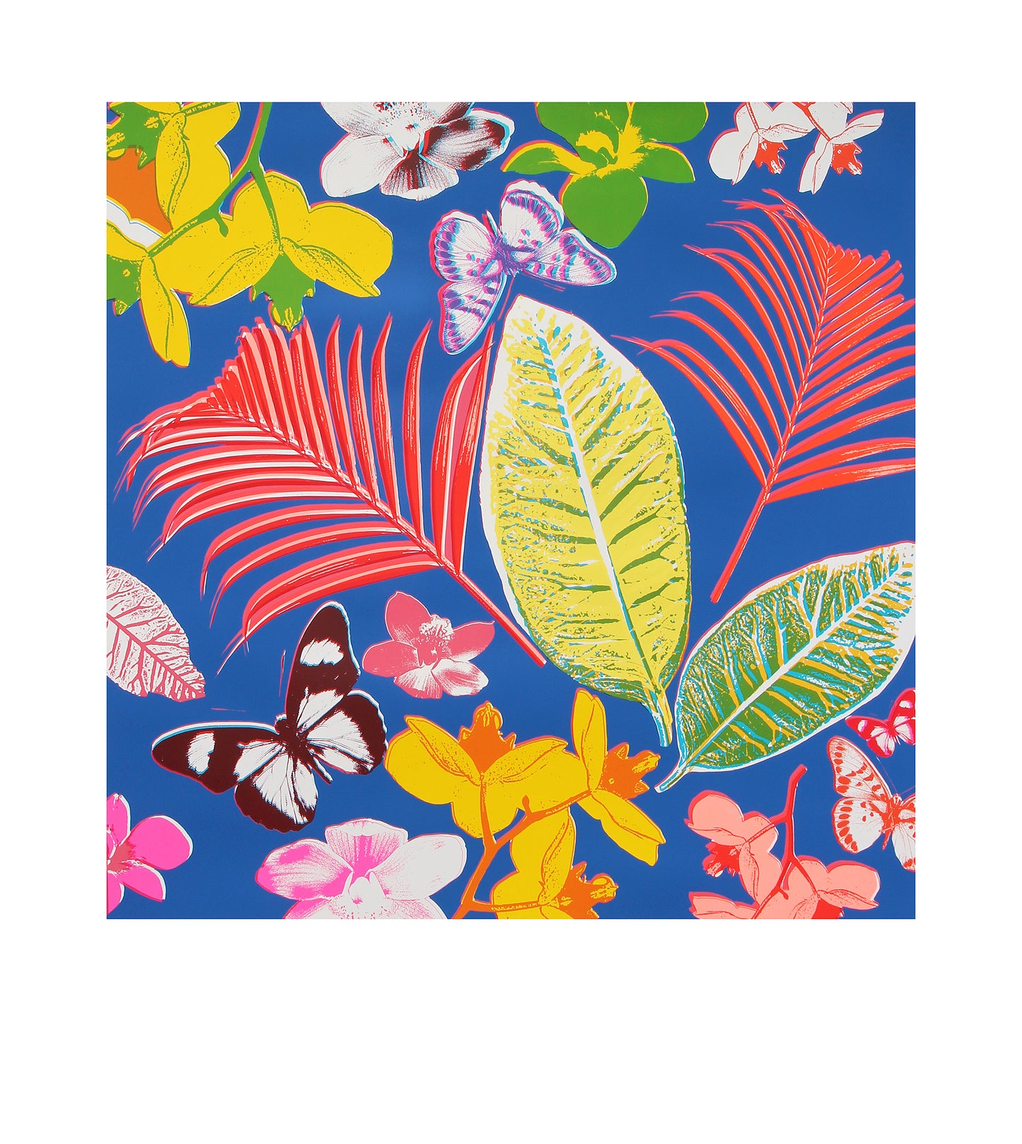 Ferns / Indigo