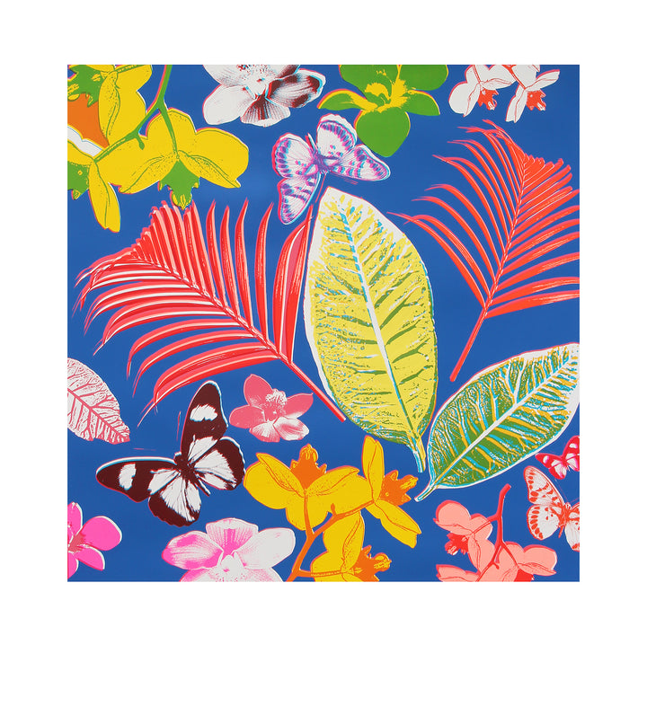 Ferns / Indigo