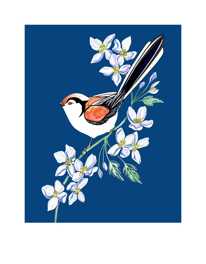 Long Tailed Tit and Clematis