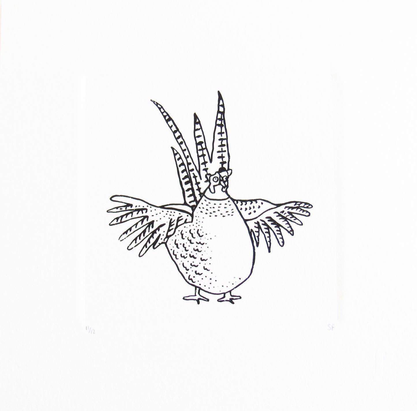 Bird 39